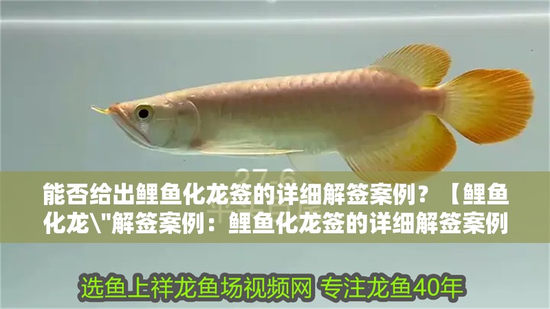 能否給出鯉魚化龍簽的詳細解簽案例？【鯉魚化龍\