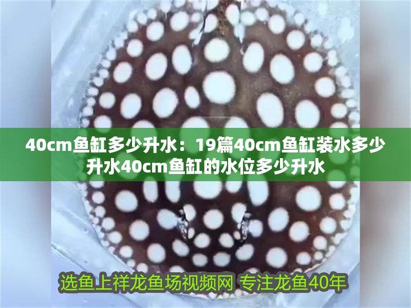 40cm魚缸多少升水：19篇40cm魚缸裝水多少升水40cm魚缸的水位多少升水