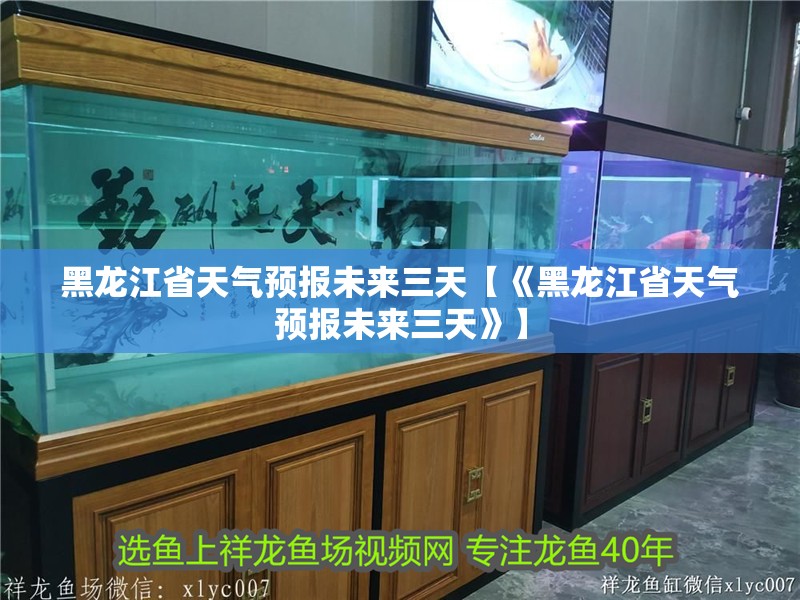 黑龍江省天氣預報未來三天【《黑龍江省天氣預報未來三天》】