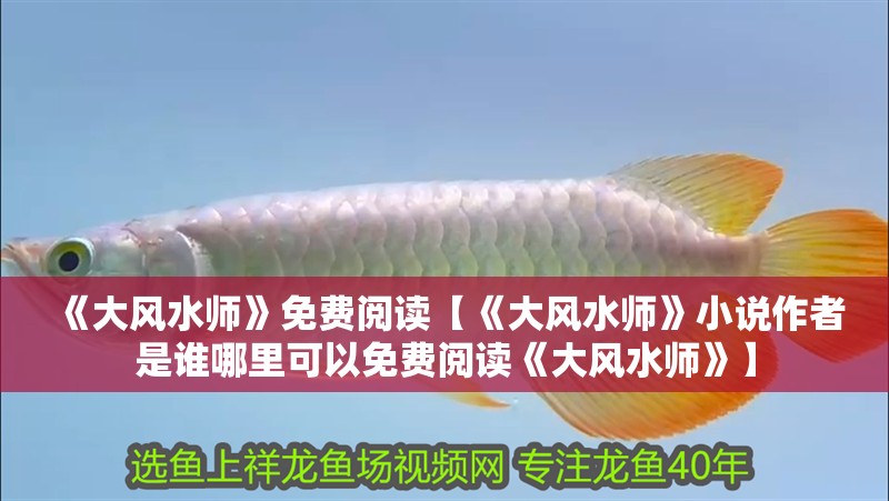 《大風水師》免費閱讀【《大風水師》小說作者是誰哪里可以免費閱讀《大風水師》】