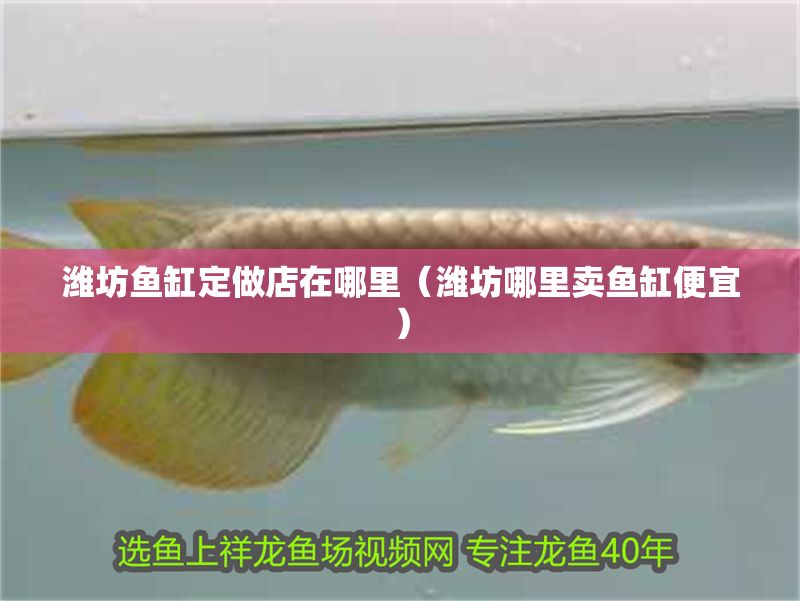 濰坊魚缸定做店在哪里（濰坊哪里賣魚缸便宜）