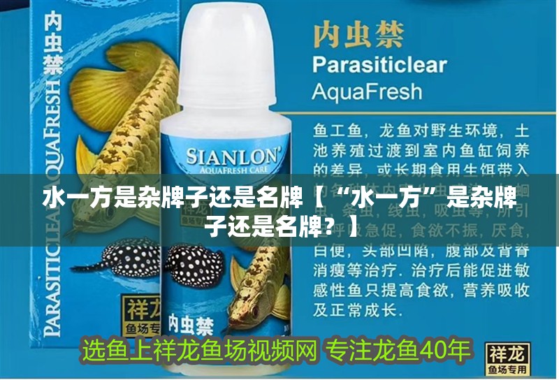 水一方是雜牌子還是名牌【“水一方”是雜牌子還是名牌？】