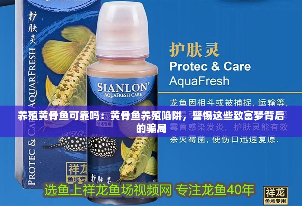 養(yǎng)殖黃骨魚可靠嗎：黃骨魚養(yǎng)殖陷阱，警惕這些致富夢(mèng)背后的騙局