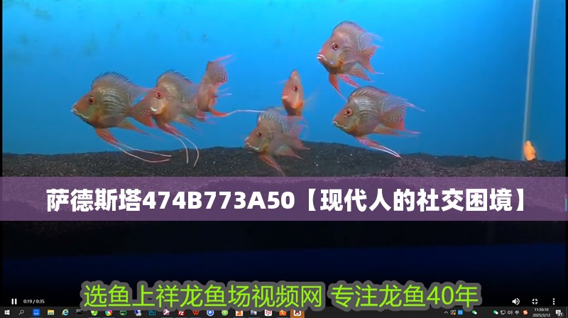 薩德斯塔474B773A50【現(xiàn)代人的社交困境】