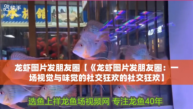 龍蝦圖片發朋友圈【《龍蝦圖片發朋友圈：一場視覺與味覺的社交狂歡的社交狂歡】