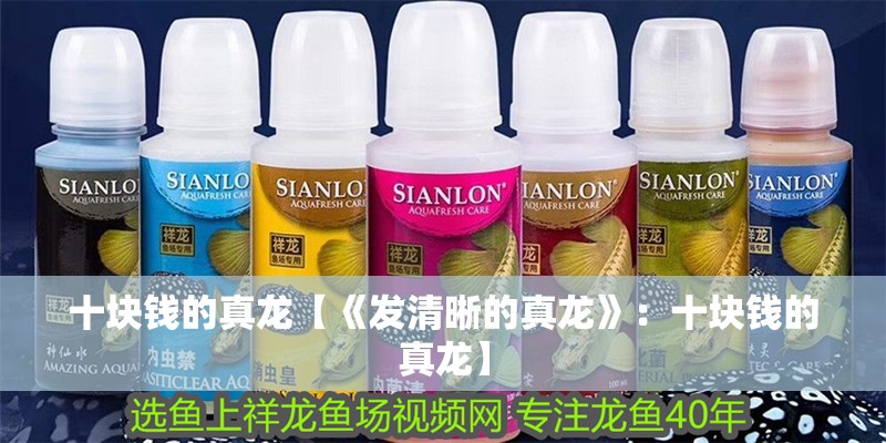 十塊錢的真龍【《發清晰的真龍》：十塊錢的真龍】
