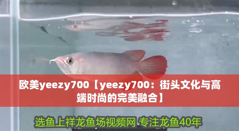 歐美yeezy700【yeezy700：街頭文化與高端時(shí)尚的完美融合】