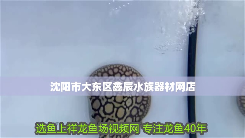 沈陽市大東區鑫辰水族器材網店 沈陽市大東區鑫辰水族器材網店 全國水族館企業名錄