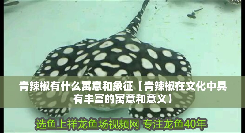 青辣椒有什么寓意和象征【青辣椒在文化中具有豐富的寓意和意義】