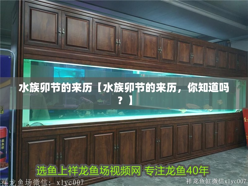 水族卯節的來歷【水族卯節的來歷，你知道嗎？】