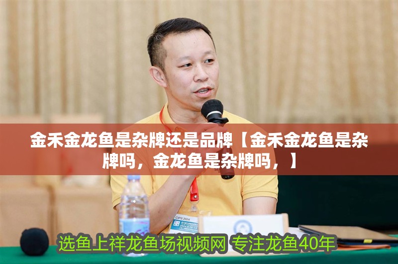 金禾金龍魚是雜牌還是品牌【金禾金龍魚是雜牌嗎，金龍魚是雜牌嗎，】