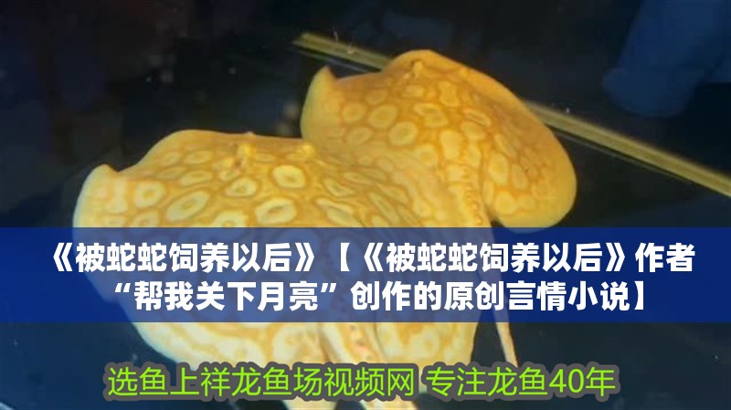 《被蛇蛇飼養(yǎng)以后》【《被蛇蛇飼養(yǎng)以后》作者“幫我關(guān)下月亮”創(chuàng)作的原創(chuàng)言情小說(shuō)】