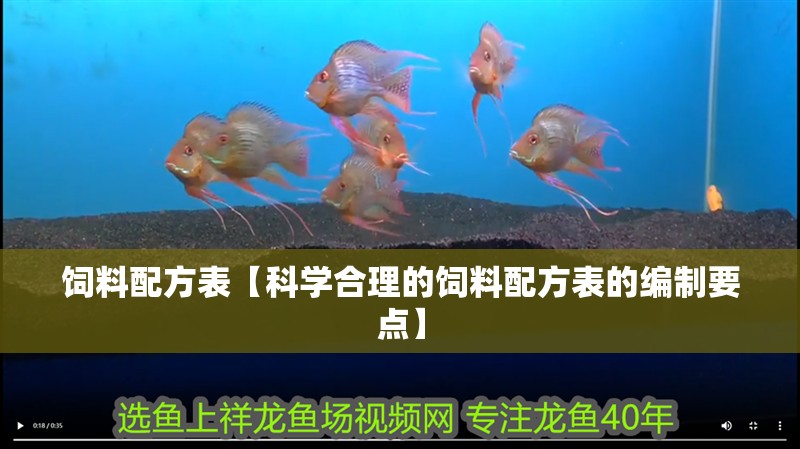 飼料配方表【科學合理的飼料配方表的編制要點】
