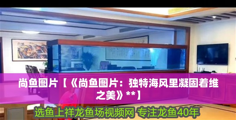 尚魚圖片【《尚魚圖片：獨特海風里凝固著維之美》**】