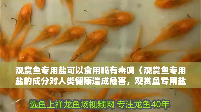 觀賞魚專用鹽可以食用嗎有毒嗎（觀賞魚專用鹽的成分對人類健康造成危害，觀賞魚專用鹽的區別）