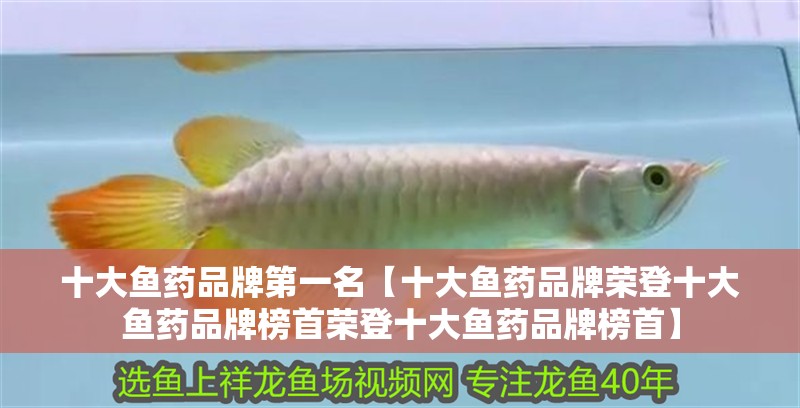十大魚(yú)藥品牌第一名【十大魚(yú)藥品牌榮登十大魚(yú)藥品牌榜首榮登十大魚(yú)藥品牌榜首】