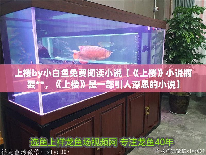 上樓by小白魚免費閱讀小說【《上樓》小說摘要**，《上樓》是一部引人深思的小說】