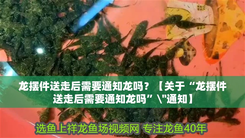 龍擺件送走后需要通知龍嗎？【關于“龍擺件送走后需要通知龍嗎”\