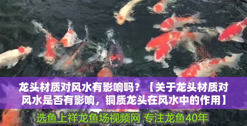 龍頭材質對風水有影響嗎？【關于龍頭材質對風水是否有影響，銅質龍頭在風水中的作用】