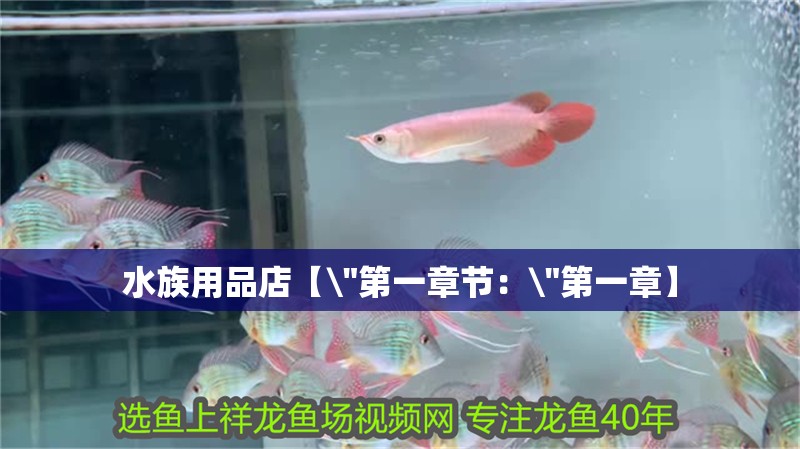 水族用品店【\