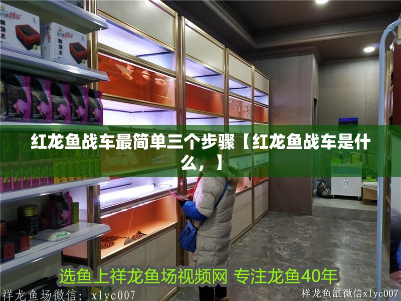 紅龍魚戰(zhàn)車最簡單三個步驟【紅龍魚戰(zhàn)車是什么，】 紅龍魚戰(zhàn)車最簡單三個步驟【紅龍魚戰(zhàn)車是什么，】 水族問答