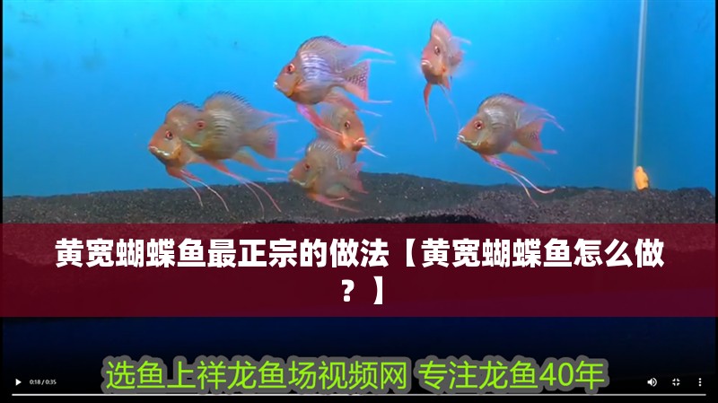 黃寬蝴蝶魚最正宗的做法【黃寬蝴蝶魚怎么做？】
