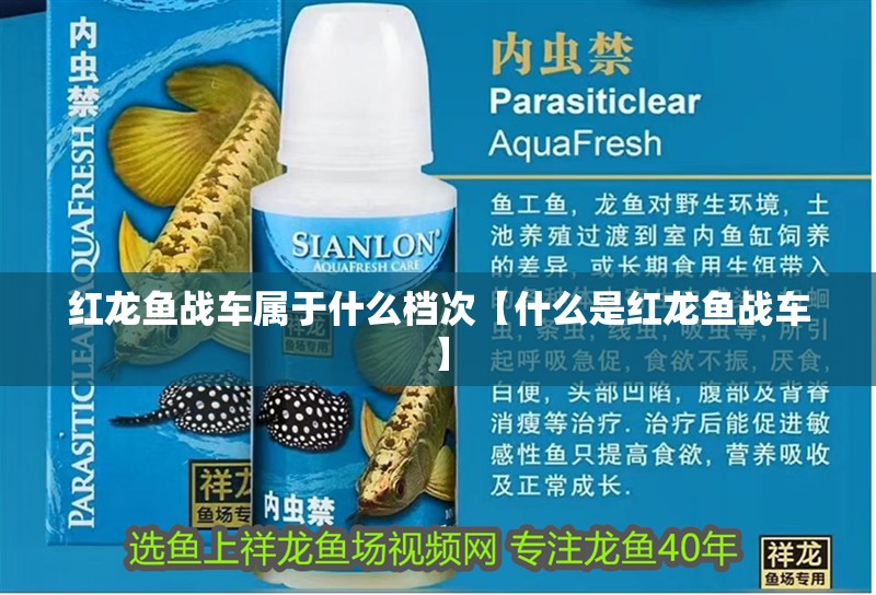 紅龍魚戰(zhàn)車屬于什么檔次【什么是紅龍魚戰(zhàn)車】