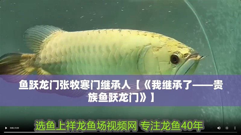 魚躍龍門張牧寒門繼承人【《我繼承了——貴族魚躍龍門》】