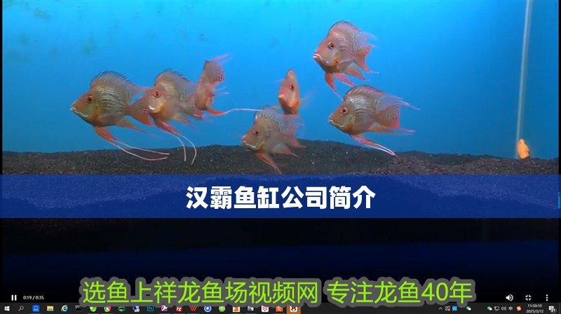 漢霸魚缸公司簡介