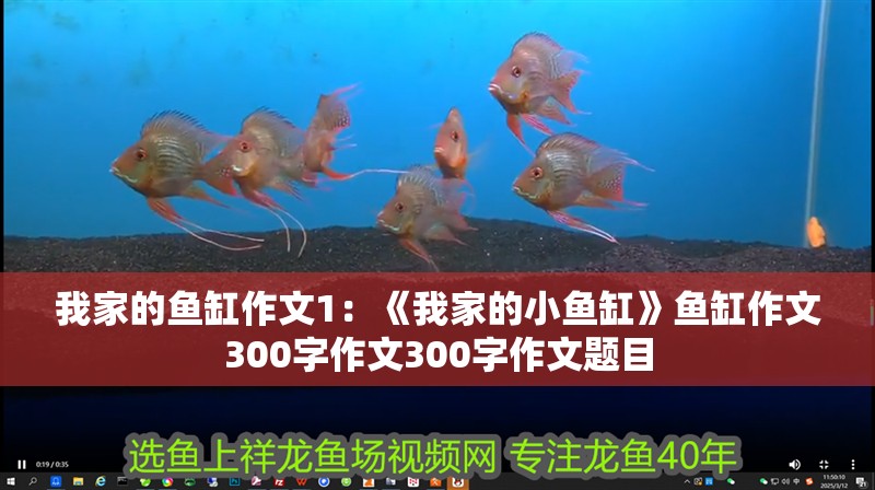 我家的魚缸作文1：《我家的小魚缸》魚缸作文300字作文300字作文題目