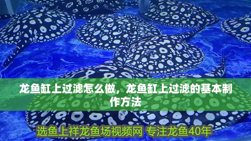 龍魚缸上過濾怎么做，龍魚缸上過濾的基本制作方法