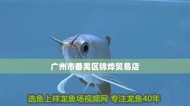 廣州市番禺區錦燁貿易店