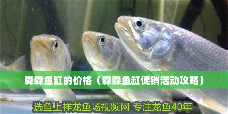 森森魚缸的價格（森森魚缸促銷活動攻略）