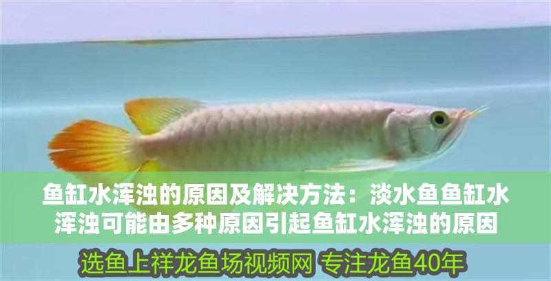 魚缸水渾濁的原因及解決方法：淡水魚魚缸水渾濁可能由多種原因引起魚缸水渾濁的原因