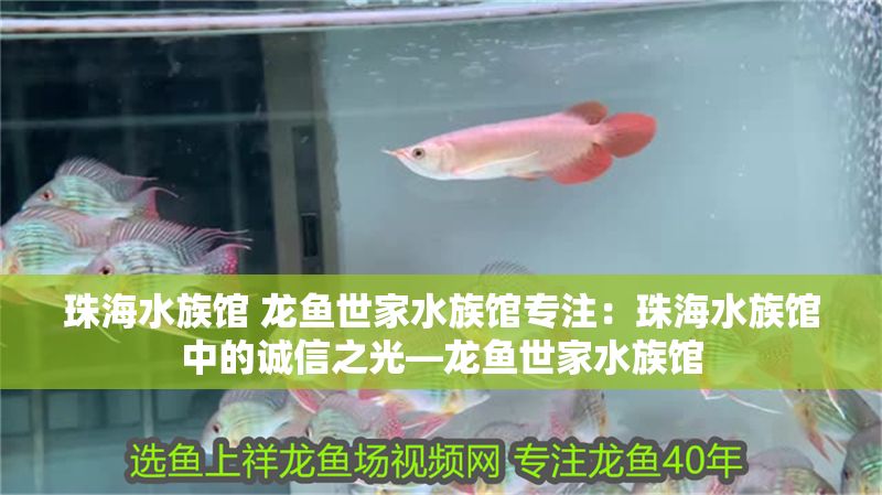 珠海水族館 龍魚(yú)世家水族館專(zhuān)注：珠海水族館中的誠(chéng)信之光—龍魚(yú)世家水族館