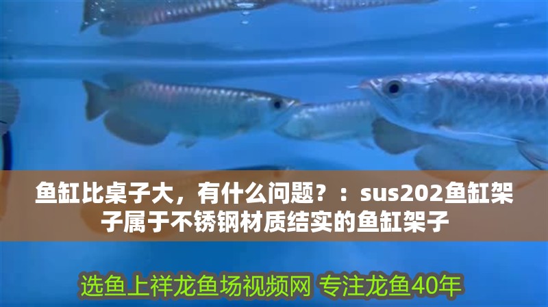 魚缸比桌子大，有什么問題？：sus202魚缸架子屬于不銹鋼材質(zhì)結(jié)實的魚缸架子