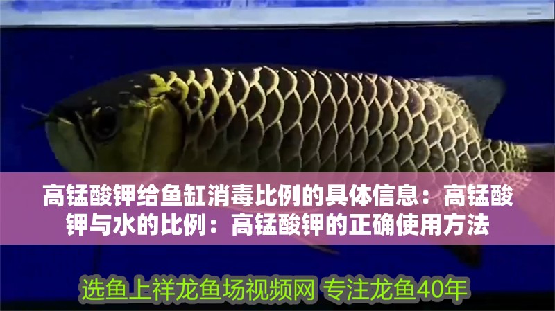 高錳酸鉀給魚缸消毒比例的具體信息：高錳酸鉀與水的比例：高錳酸鉀的正確使用方法