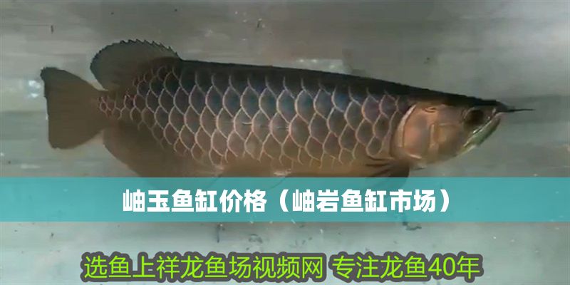 岫玉魚缸價格（岫巖魚缸市場）
