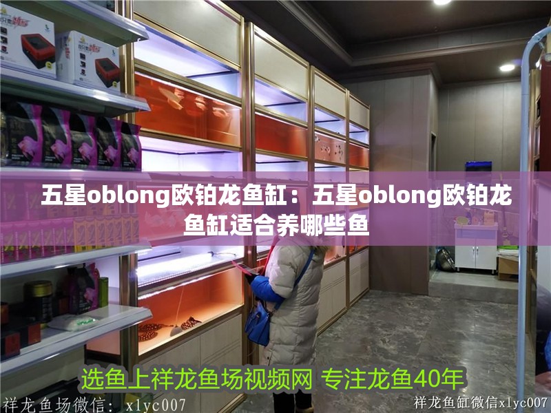 五星oblong歐鉑龍魚缸：五星oblong歐鉑龍魚缸適合養(yǎng)哪些魚