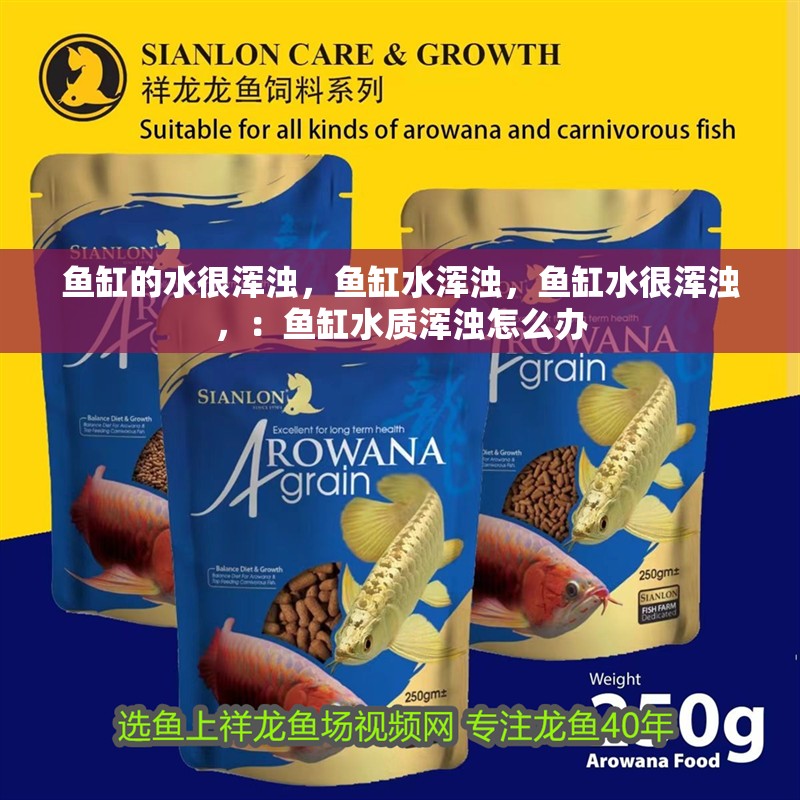 魚缸的水很渾濁，魚缸水渾濁，魚缸水很渾濁，：魚缸水質渾濁怎么辦