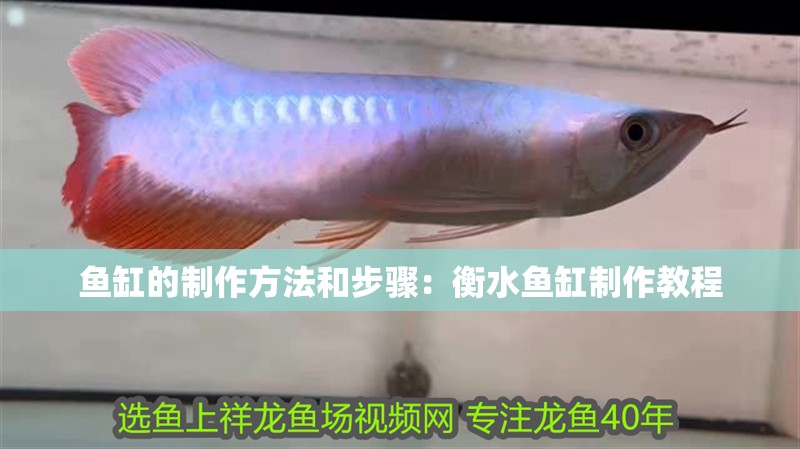 魚缸的制作方法和步驟：<strong><mark>衡水</mark></strong>魚缸制作教程