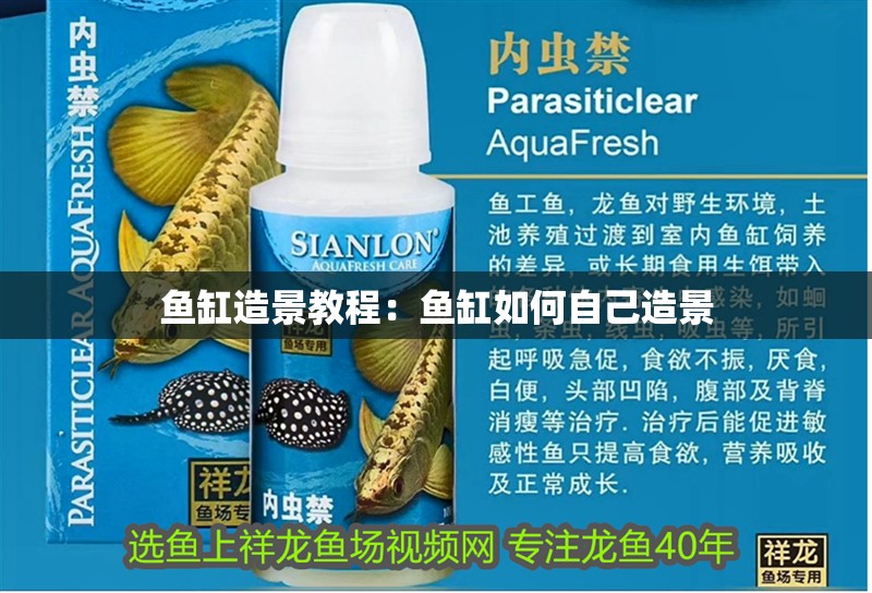 魚缸造景教程：魚缸如何自己造景