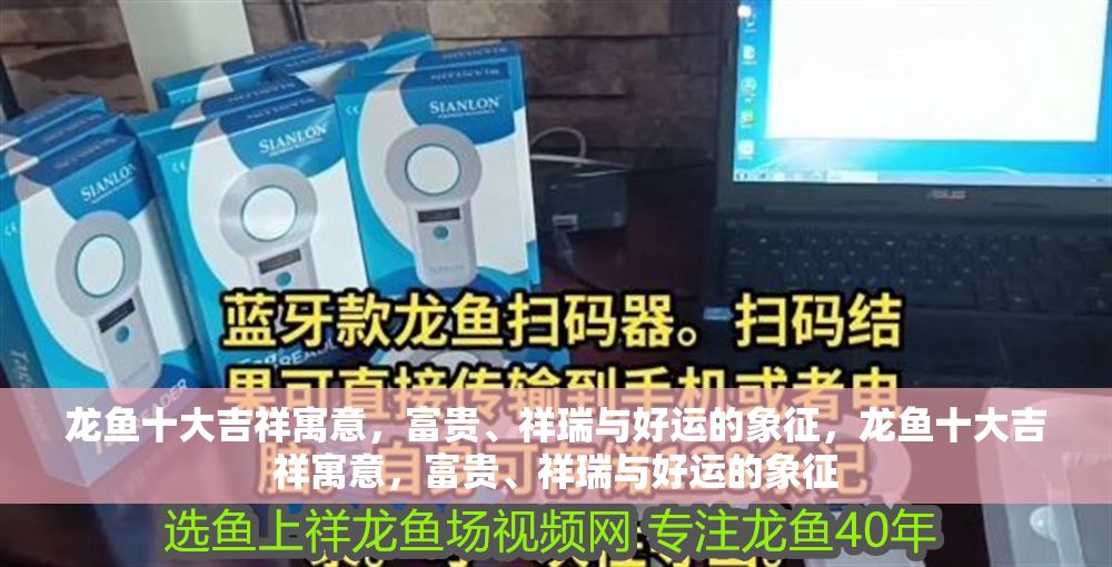 龍魚十大吉祥寓意，富貴、祥瑞與好運的象征，龍魚十大吉祥寓意，富貴、祥瑞與好運的象征