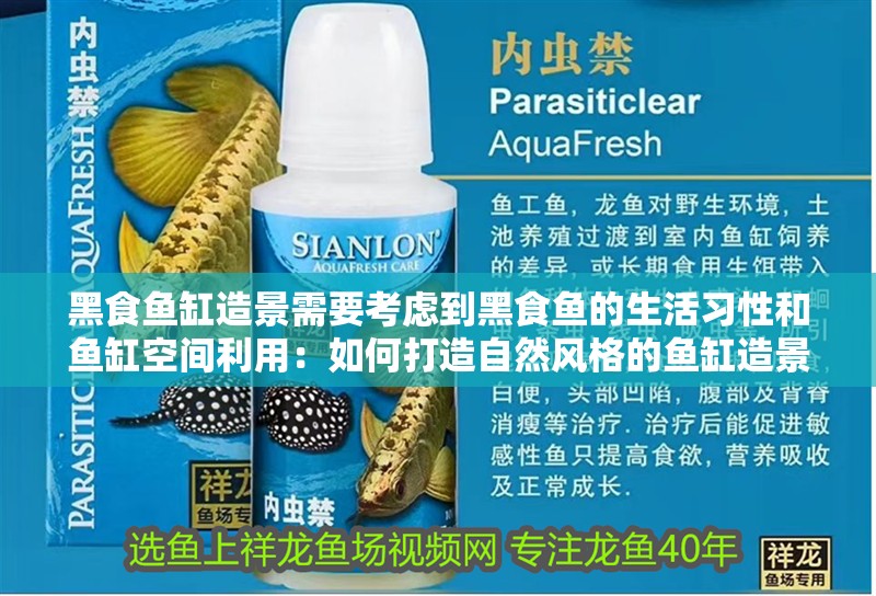 黑食魚缸造景需要考慮到黑食魚的生活習(xí)性和魚缸空間利用：如何打造自然風(fēng)格的魚缸造景？