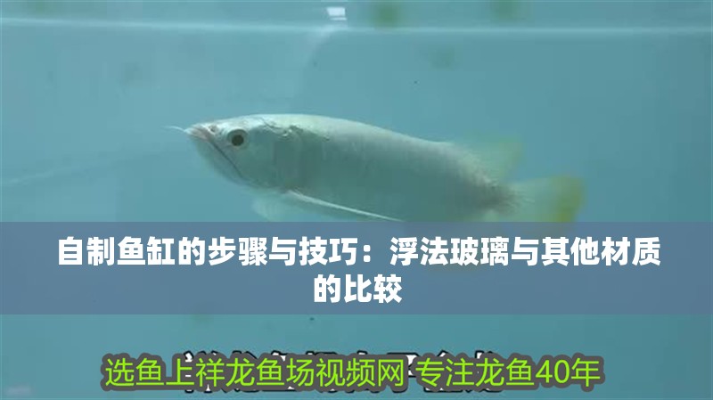 自制魚缸的步驟與技巧：浮法玻璃與其他材質(zhì)的比較 自制魚缸的步驟與技巧：浮法玻璃與其他材質(zhì)的比較 魚缸百科