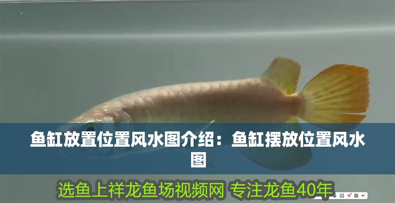 魚缸放置位置風水圖介紹：魚缸擺放位置風水圖