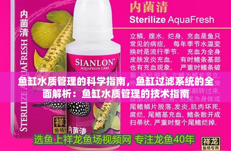 魚缸水質管理的科學指南，魚缸過濾系統的全面解析：魚缸水質管理的技術指南 魚缸水質管理的科學指南，魚缸過濾系統的全面解析：魚缸水質管理的技術指南 魚缸百科
