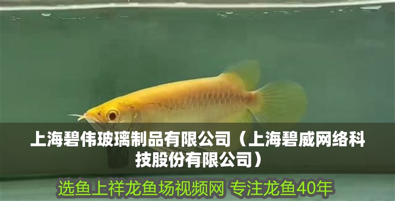 上海碧偉玻璃制品有限公司（上海碧威網(wǎng)絡(luò)科技股份有限公司）