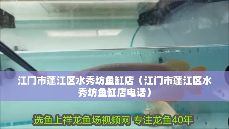 江門市蓬江區水秀坊魚缸店（江門市蓬江區水秀坊魚缸店電話）