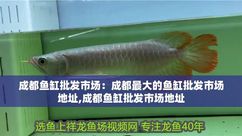 成都魚缸批發(fā)市場：成都最大的魚缸批發(fā)市場地址,成都魚缸批發(fā)市場地址